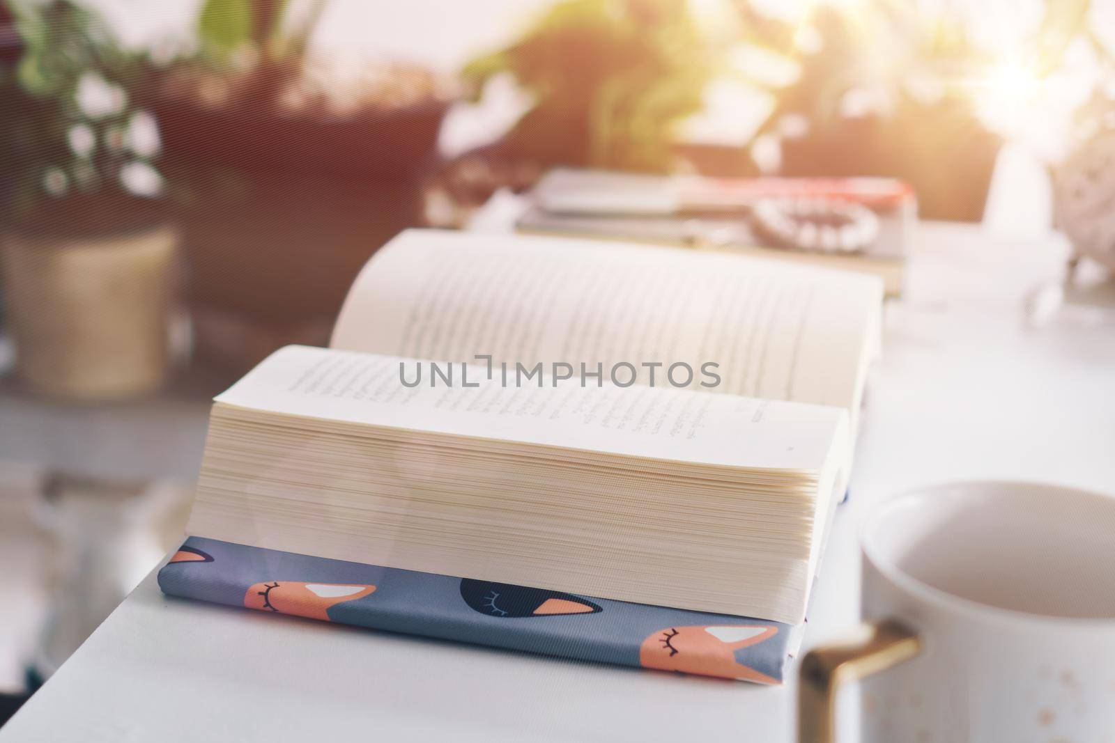 Book on table in workspace area with nature background feeling relax and peaceful environment. Education business concept.