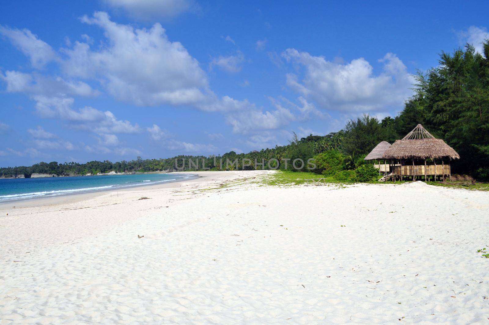 A picturesque​ tropical beach in Andaman and Nicobar Islands, India, Asia.