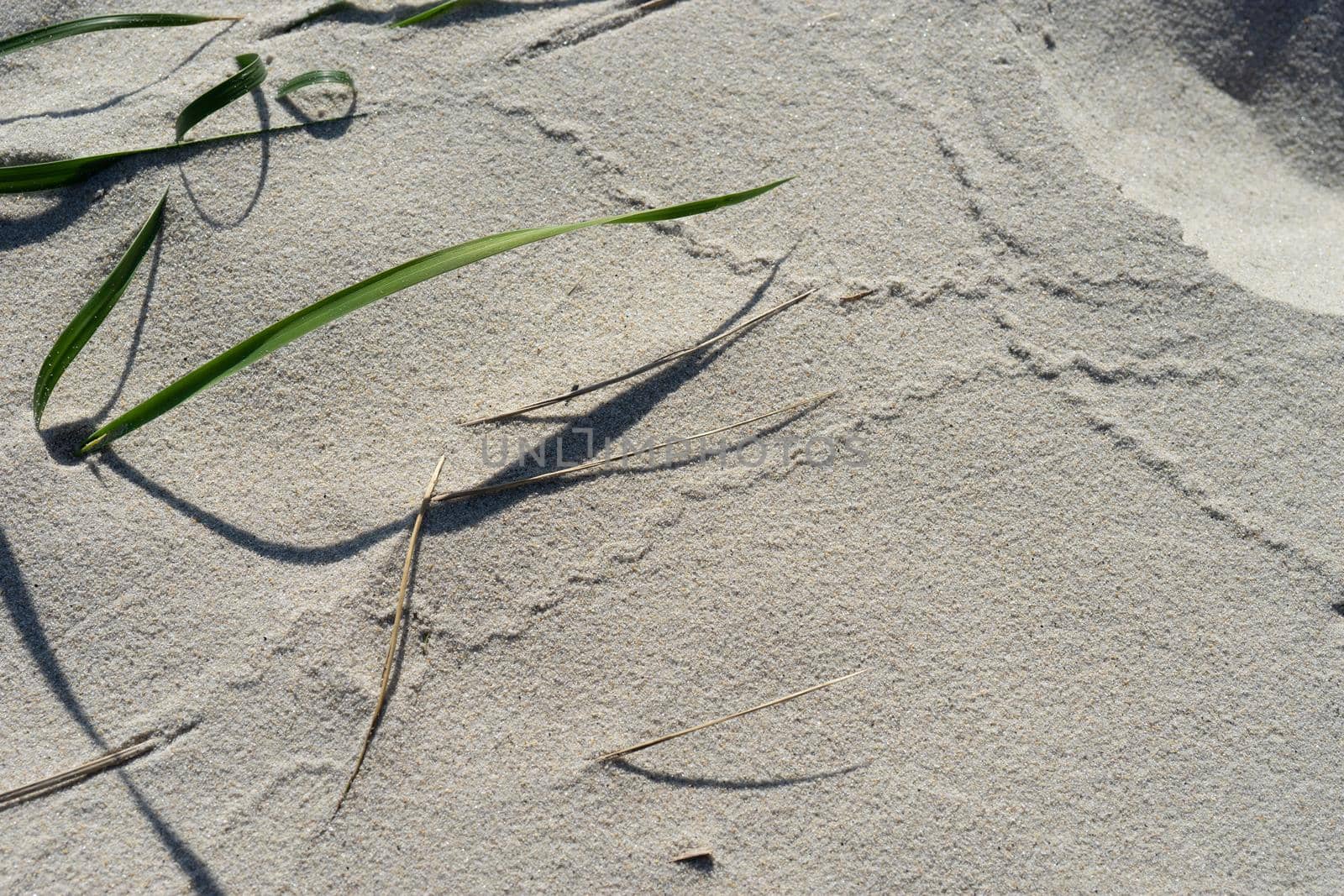 Natural background with sand texture