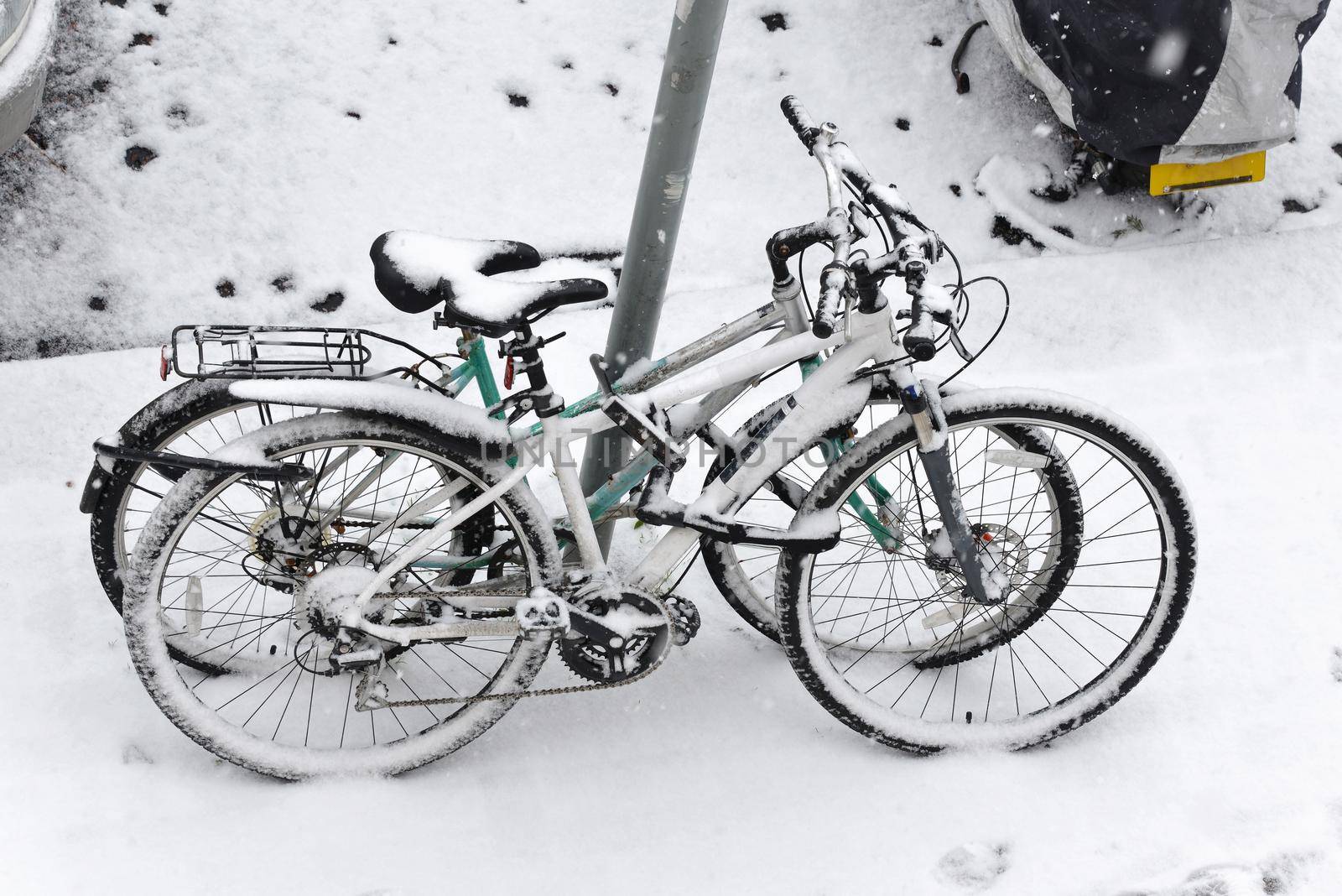 Two locked bicycles covered in snow, winter season