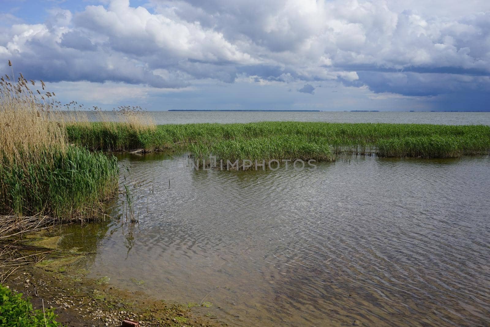 The estuary at the Curonian spit in the Kaliningrad region in the spring on a Sunny day