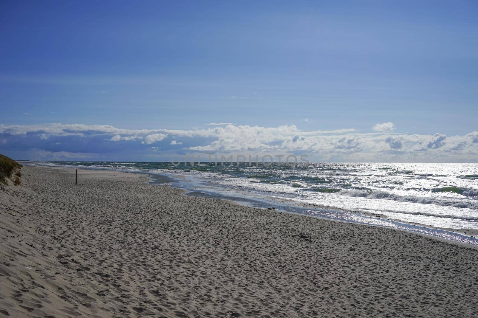 Deserted seascape on the Baltic sea and sand dunes