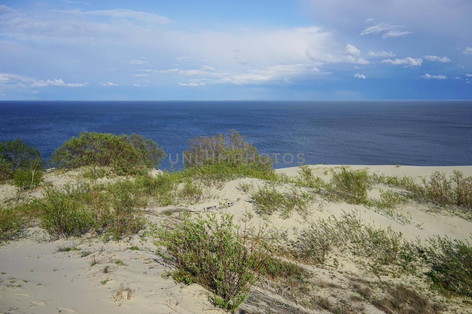 Deserted seascape on the Baltic sea and sand dunes