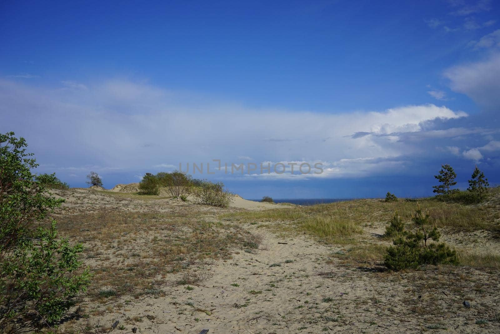 Deserted seascape on the Baltic sea and sand dunes