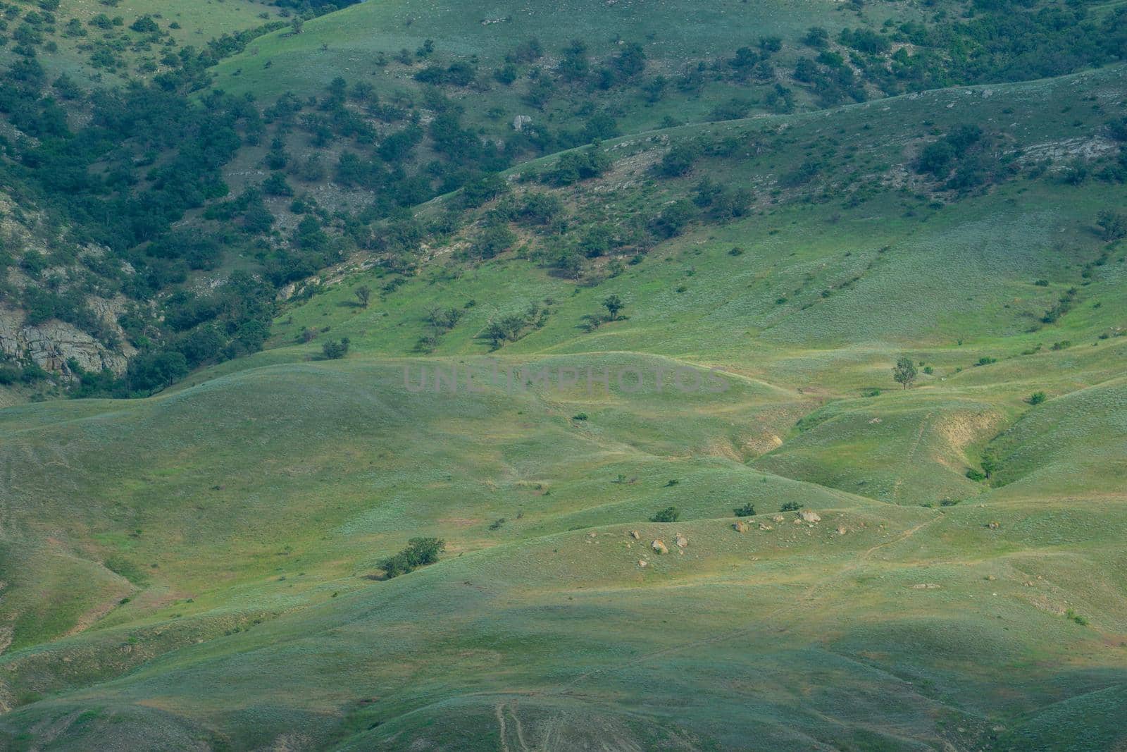 Natural landscape with views of the mountainside and vegetation