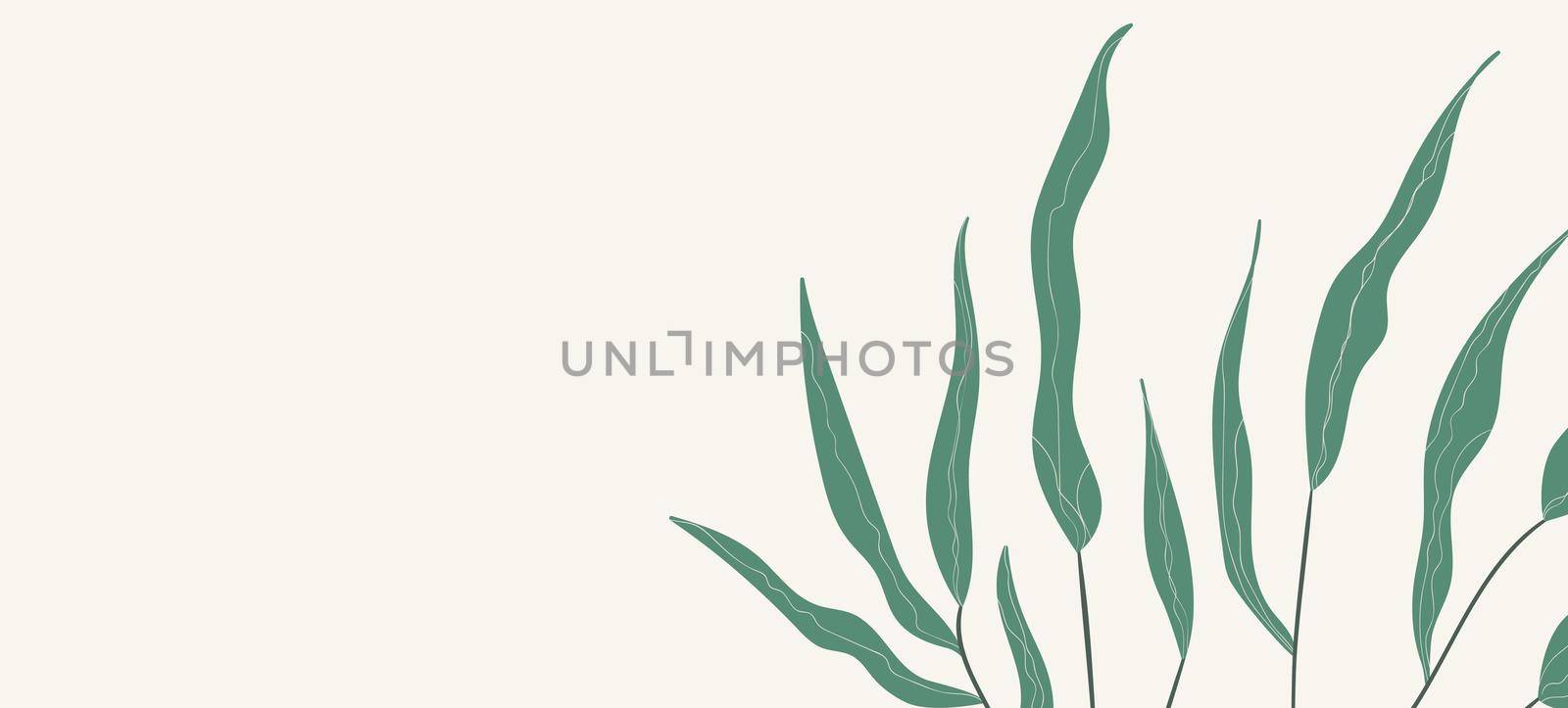 Floral web banner with drawn color exotic monstera leaves. Nature concept design. Modern floral compositions with summer branches. Vector illustration on the theme of ecology, natura, environment by allaku