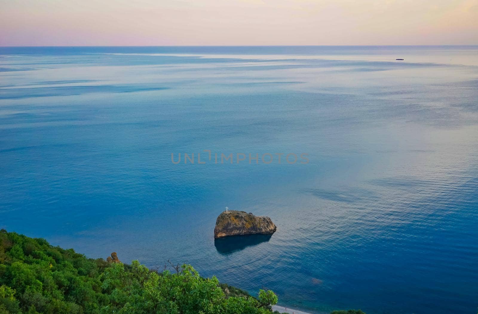 Seascape with coastline covered with vegetation.