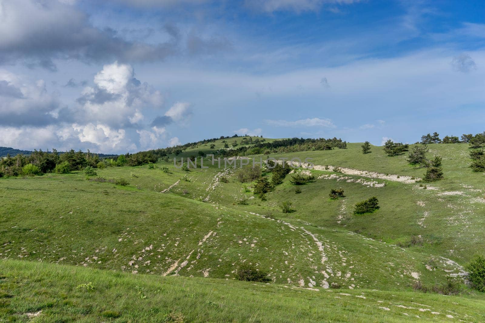 Landscape with hills covered with green grass.