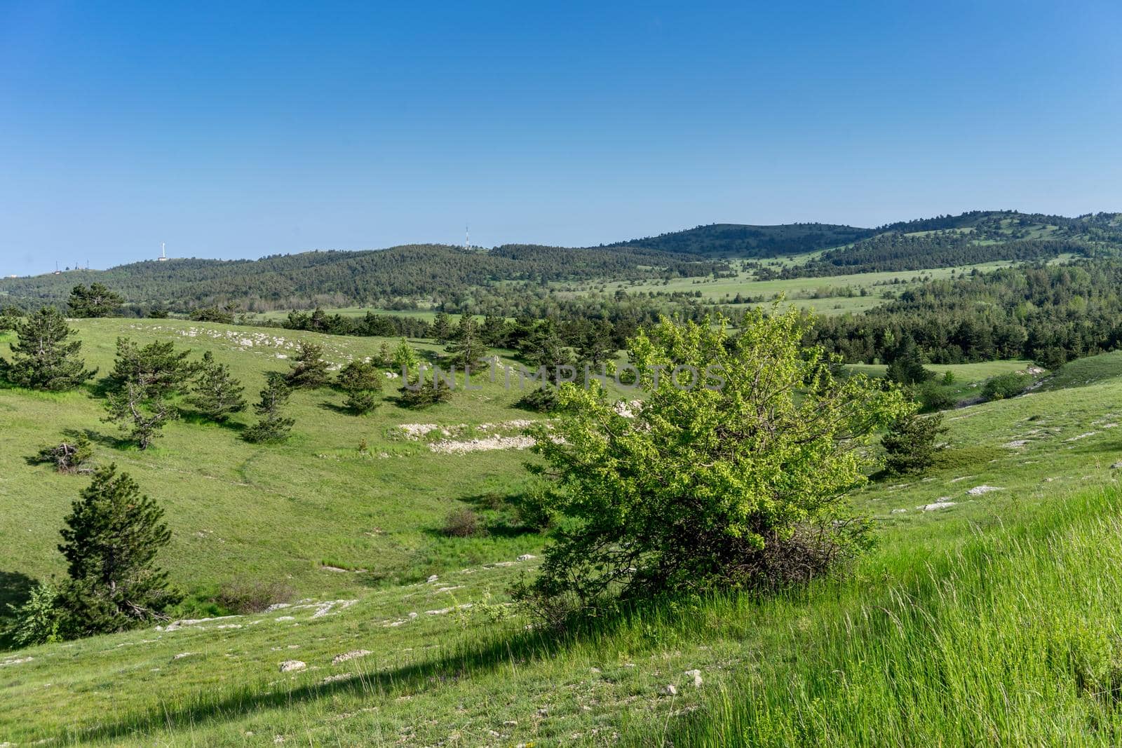 Landscape with hills covered with green grass.