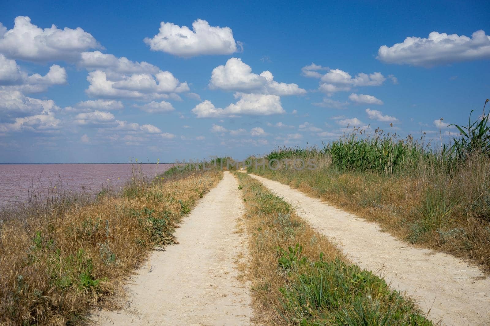 Natural landscape with a fantastic pink lake-a landmark of the Crimea.