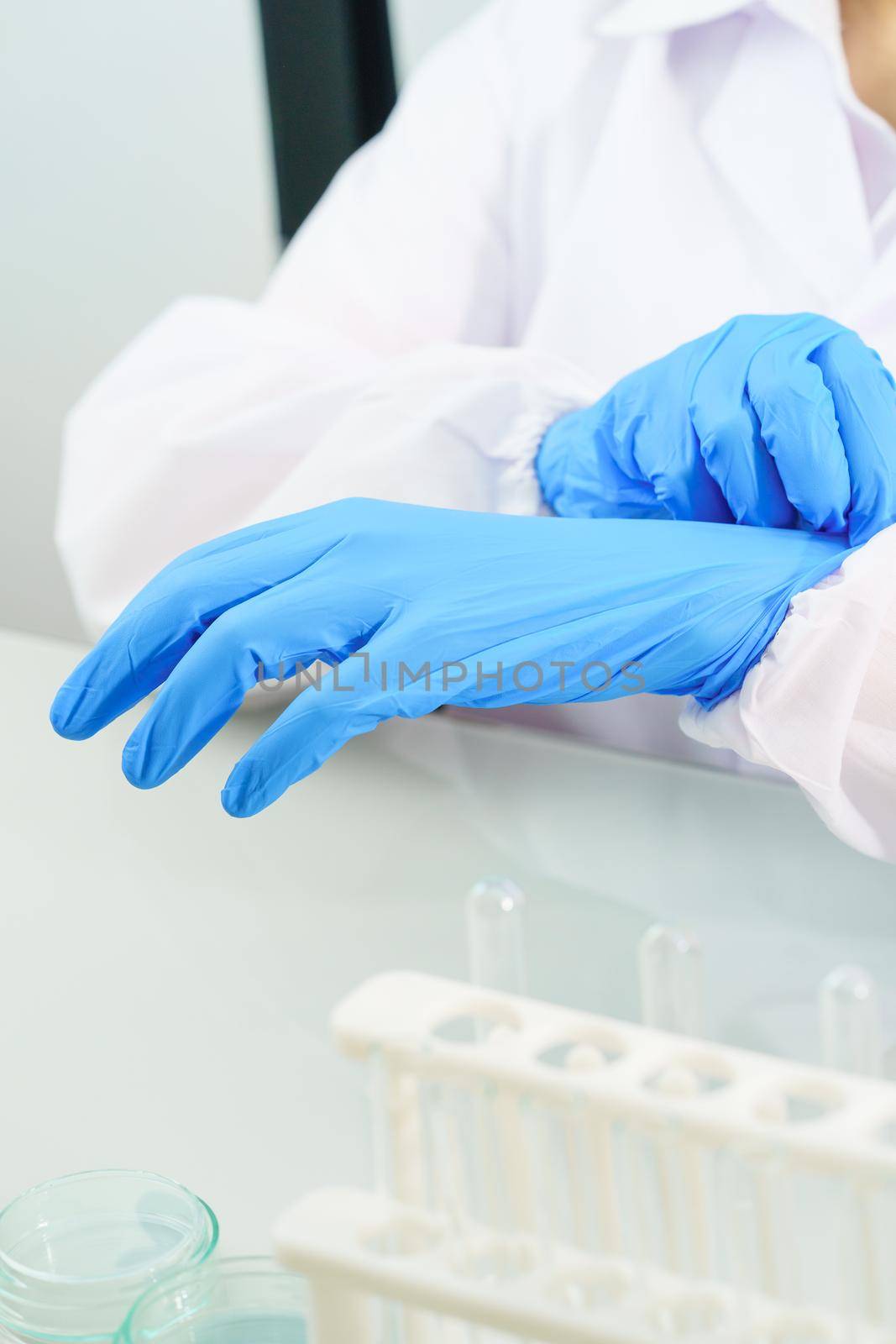 Close up Scientist hands putting in nitrile blue latex gloves in labcoat wearing nitrile gloves, doing experiments in lab