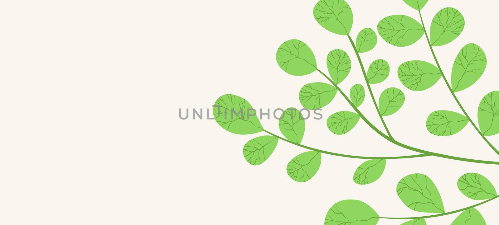 Floral web banner with drawn color exotic monstera leaves. Nature concept design. Modern floral compositions with summer branches. Vector illustration on the theme of ecology, natura, environment by allaku