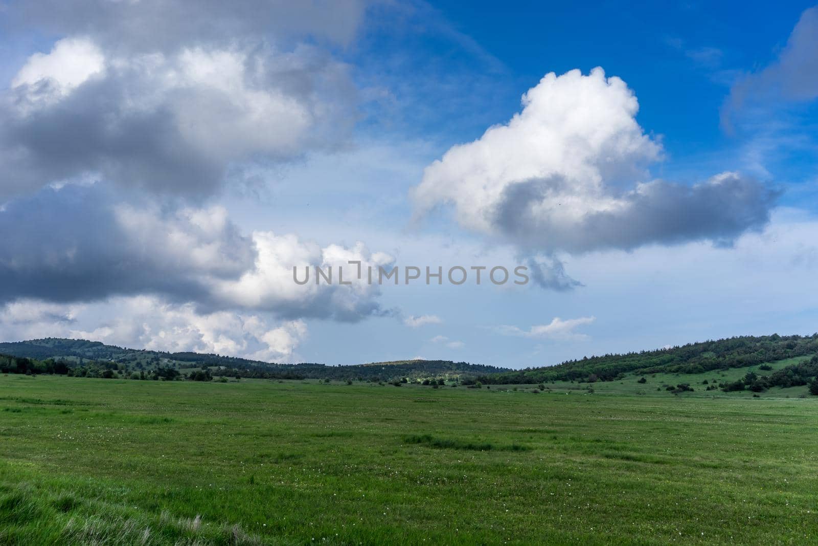 A huge green field of grass under blue sky and white clouds. Yalta, Crimea