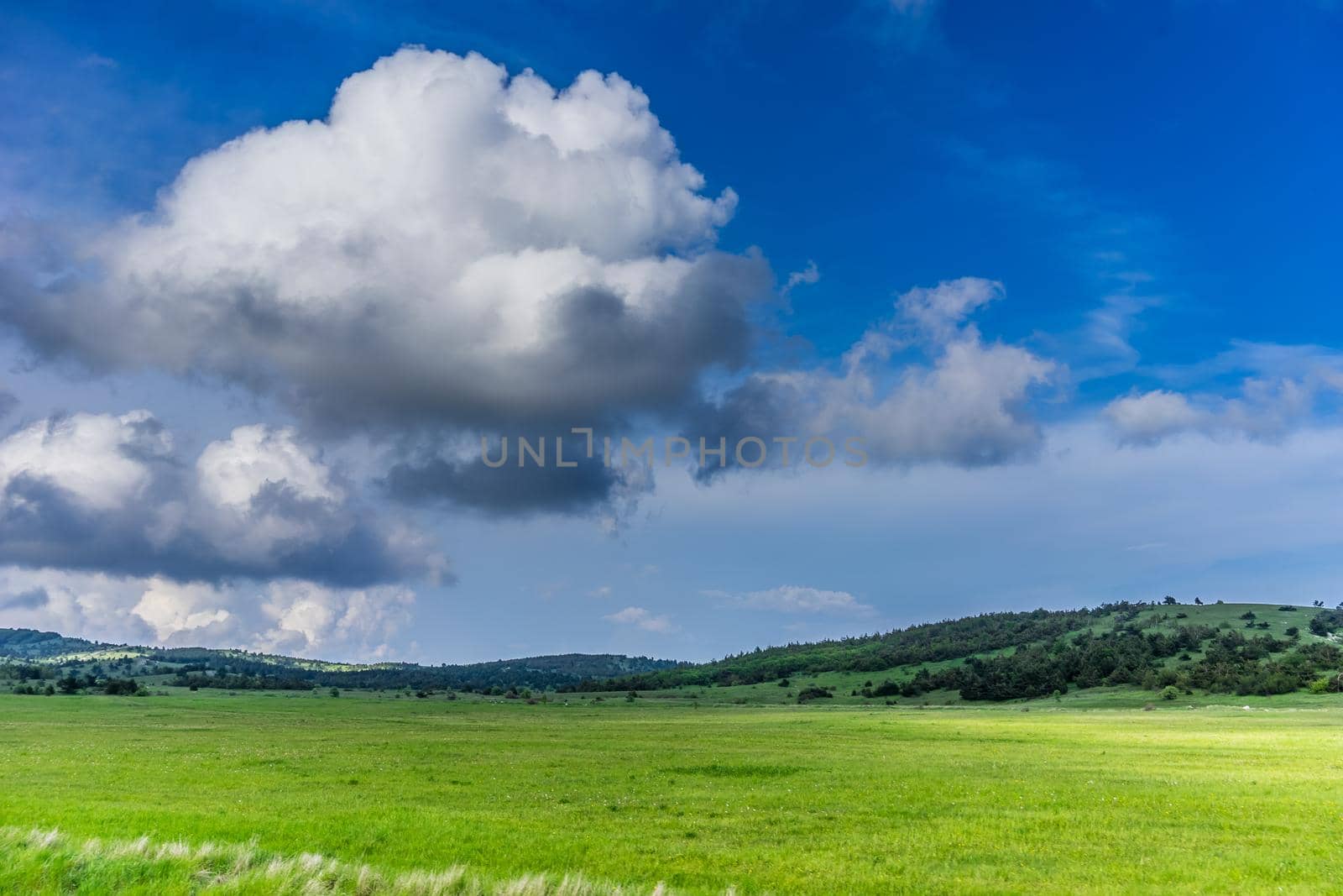 landscape with white clouds on the blue sky flying over a bright green field