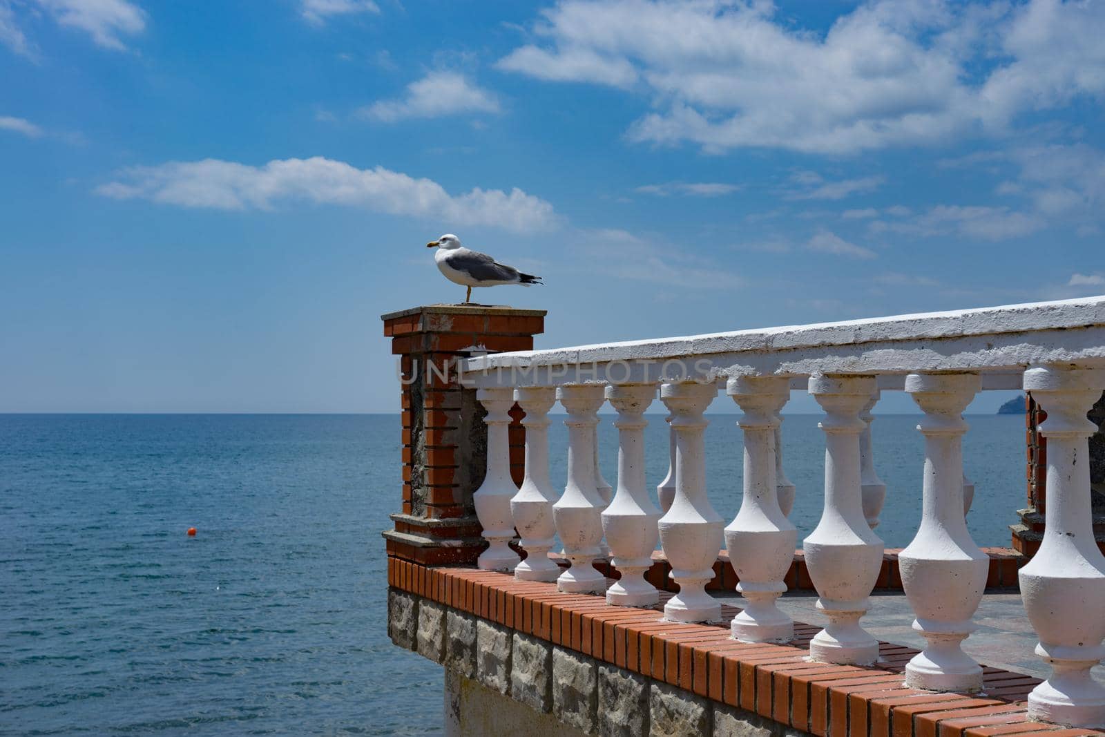 Sea landscape with a Seagull on the balcony on a background of blue sea.