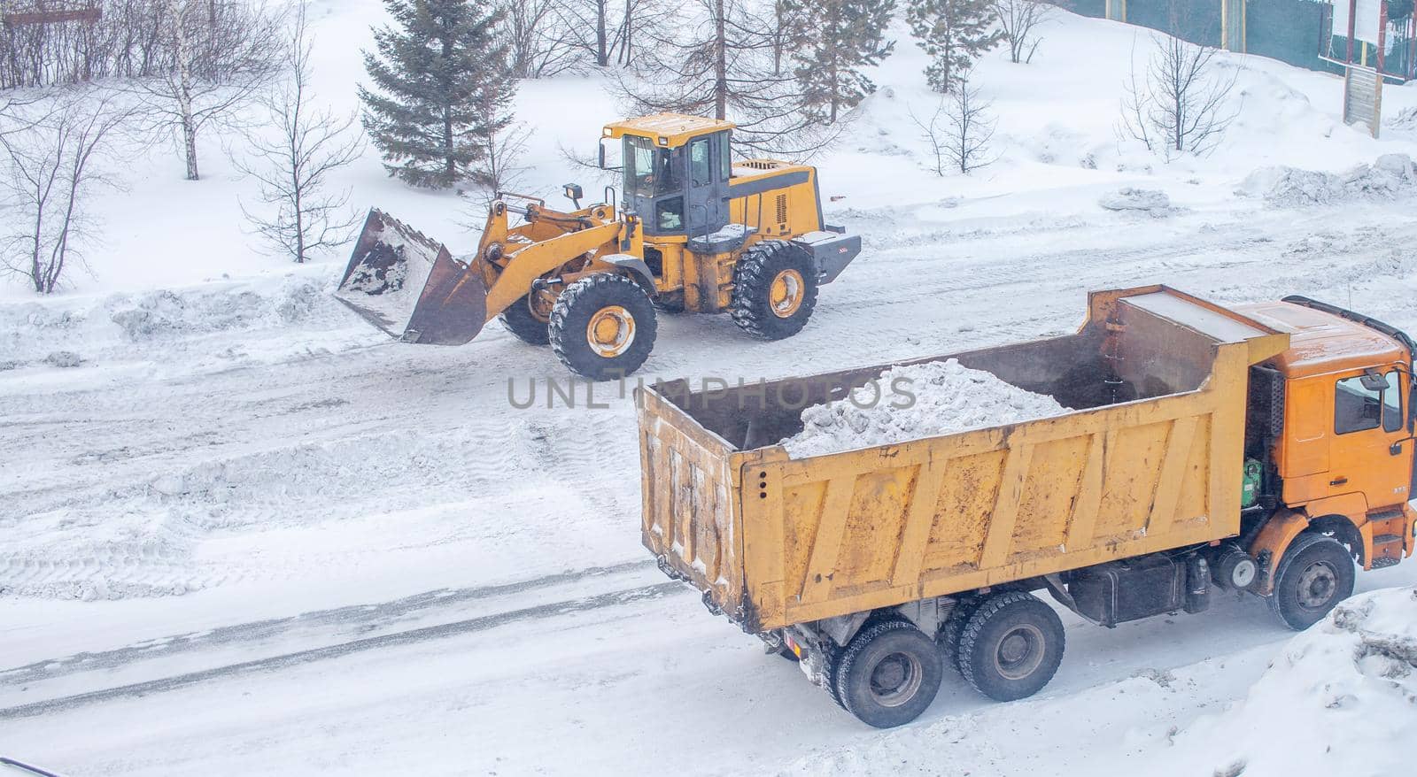 Big yellow tractor cleans up snow from the road and loads it into the truck. Cleaning and cleaning of roads in the city from snow in winter