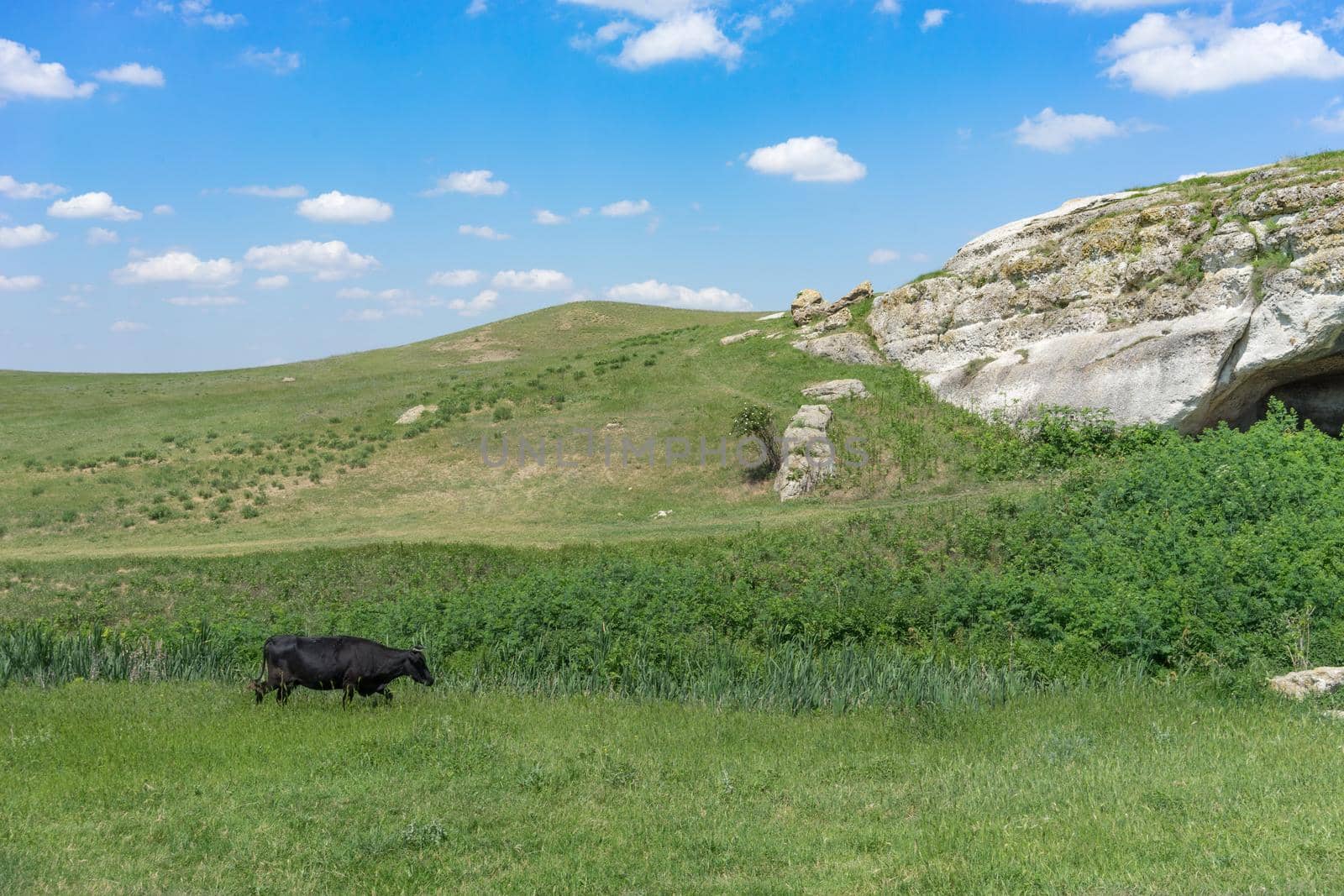 The natural landscape with a view of the white cliffs and caves. Belogorsk, Crimea