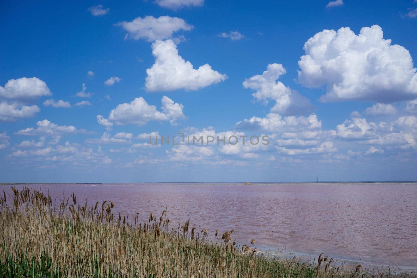 Natural landscape with pink salt lake. Evpatoria, Crimea