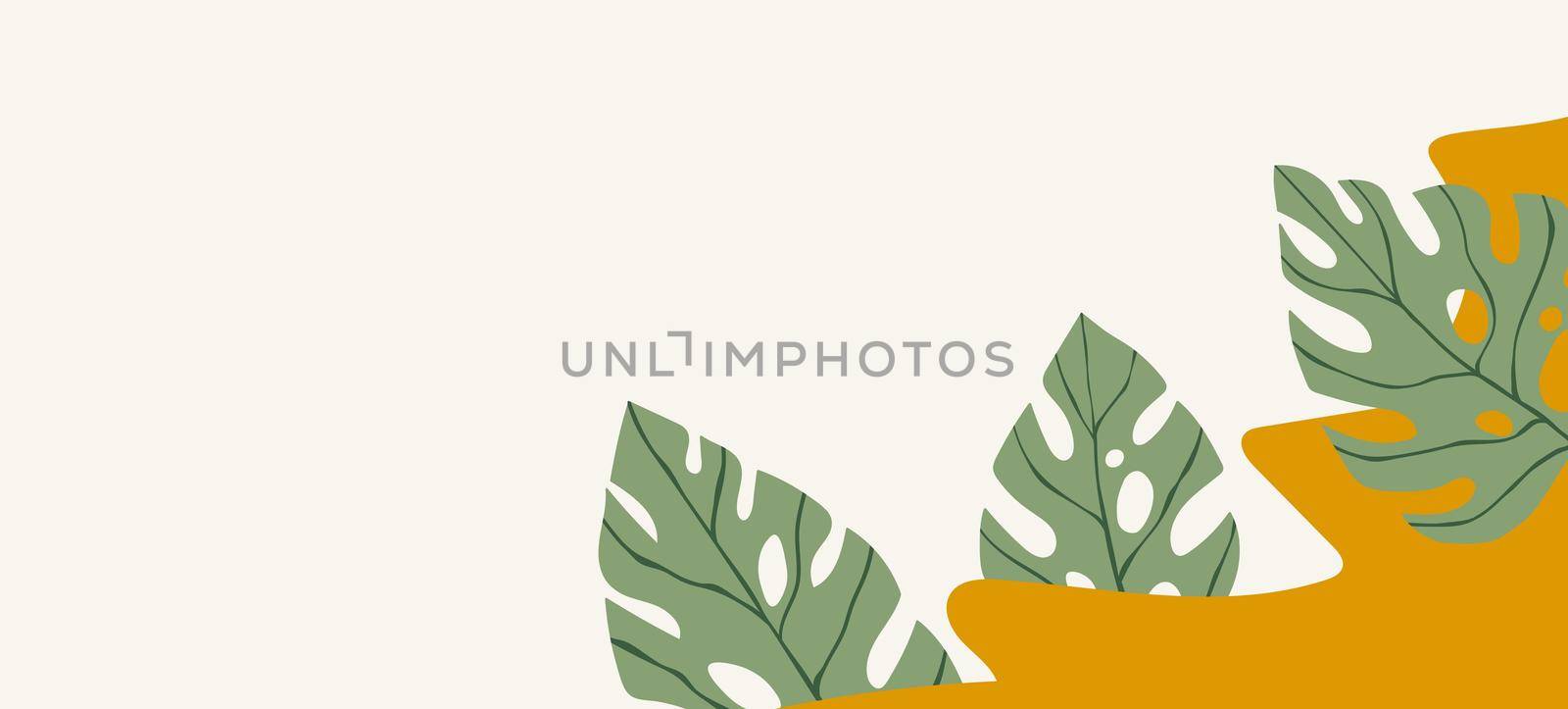 Floral web banner with drawn color exotic monstera leaves. Nature concept design. Modern floral compositions with summer tropical branches. Vector illustration on the theme of ecology, natura. by allaku