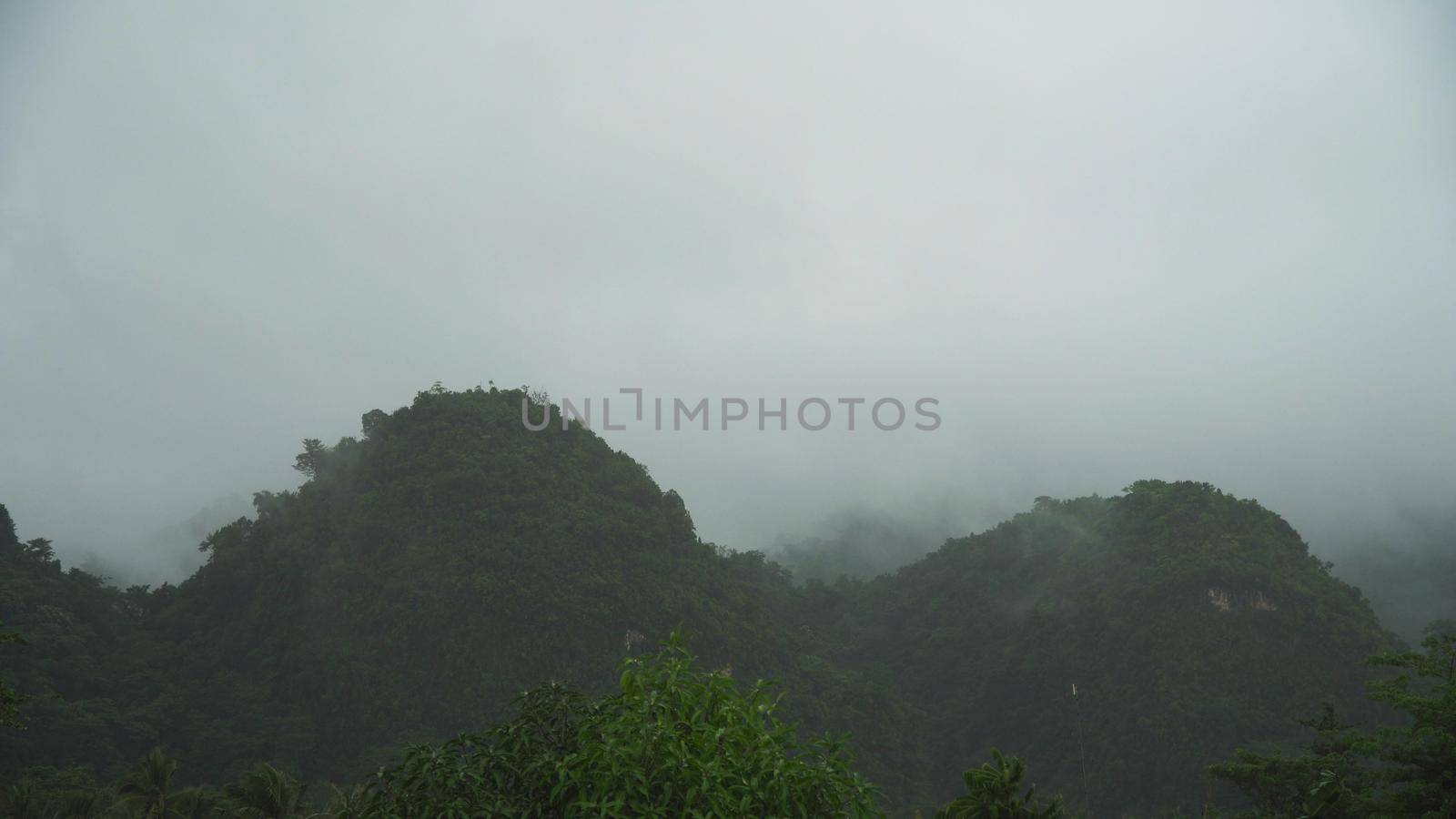 Fog in the mountainous rainforest. Fog in the mountains, and cloudy weather. Low clouds and fog on the mountain.