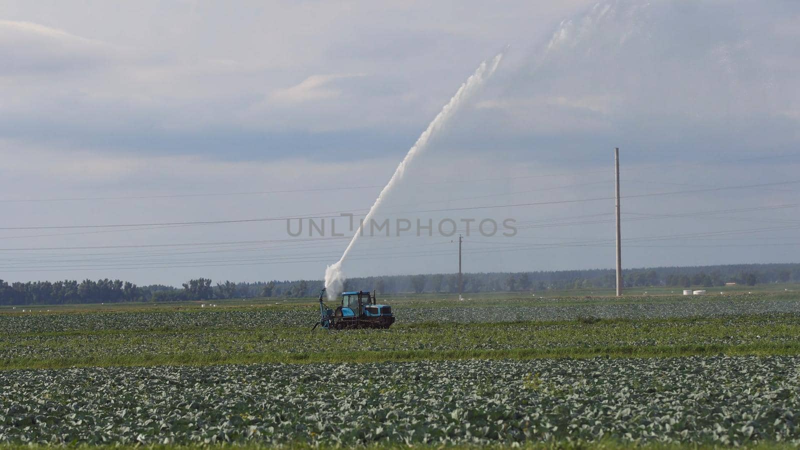 Aerial view: Irrigation equipment watering cabbage field. Irrigation system watering farm field.