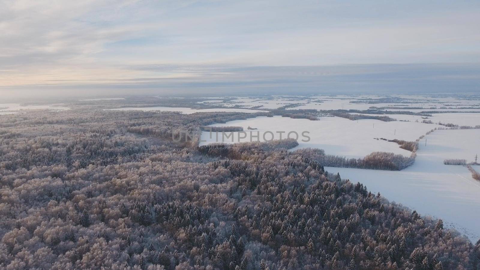 Winter forest, field. Aerial view Winter landscape countryside, forest, field. Winter landscape, field, forest, trees covered with frost snow