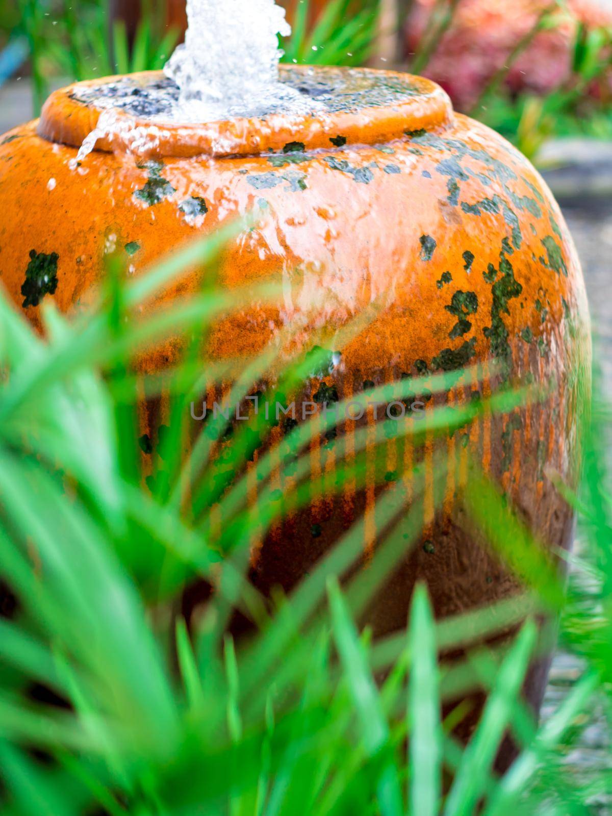 Cyperus Umbrella plant and the small fountain in ceramic jar by Satakorn