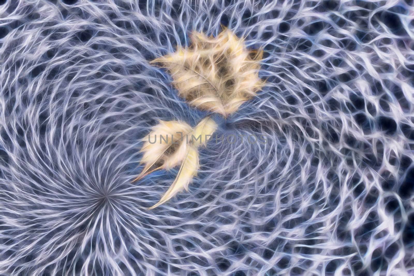 Abstract fractal blue background with a fancy pattern. For design and network