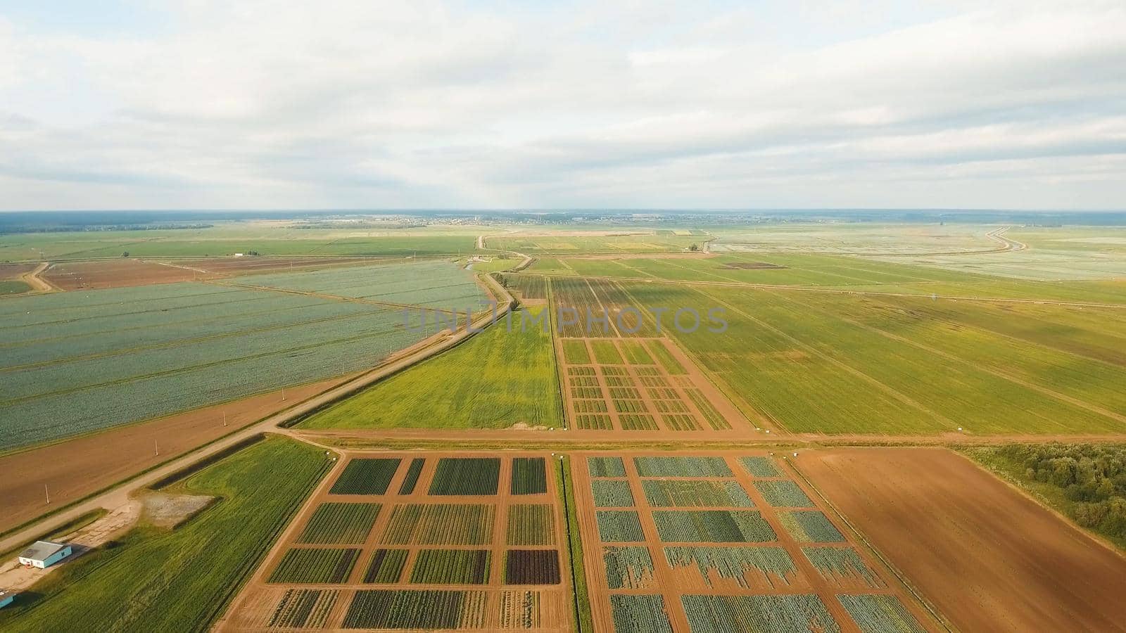 Aerial view of agricultural, cultivated fields. Agricultural landscape.Irrigated farmland