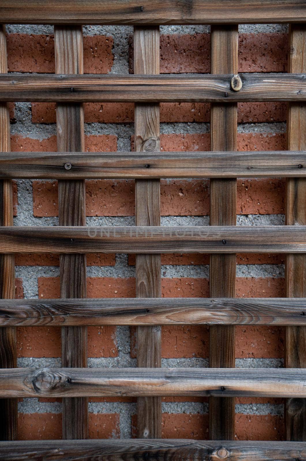 Antique wooden grille with red brick backdrop by xavier_photo