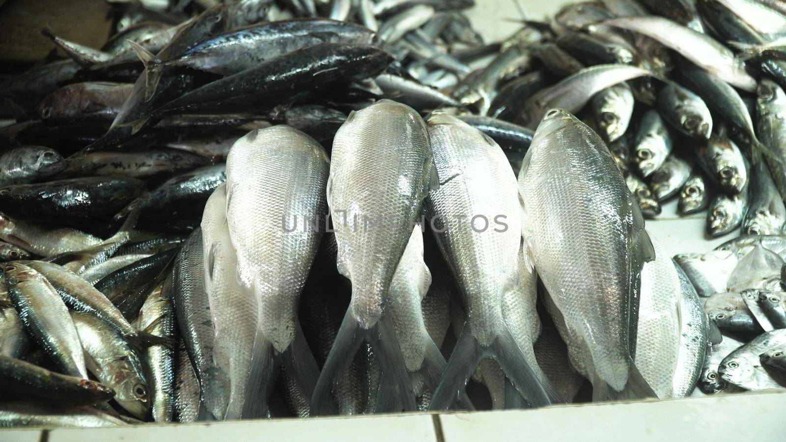 Fresh fish in Asian market. Sale of fresh sea fish in the Asian public store. Sea fish lying on the shopboard at one of the street markets. Philippines.