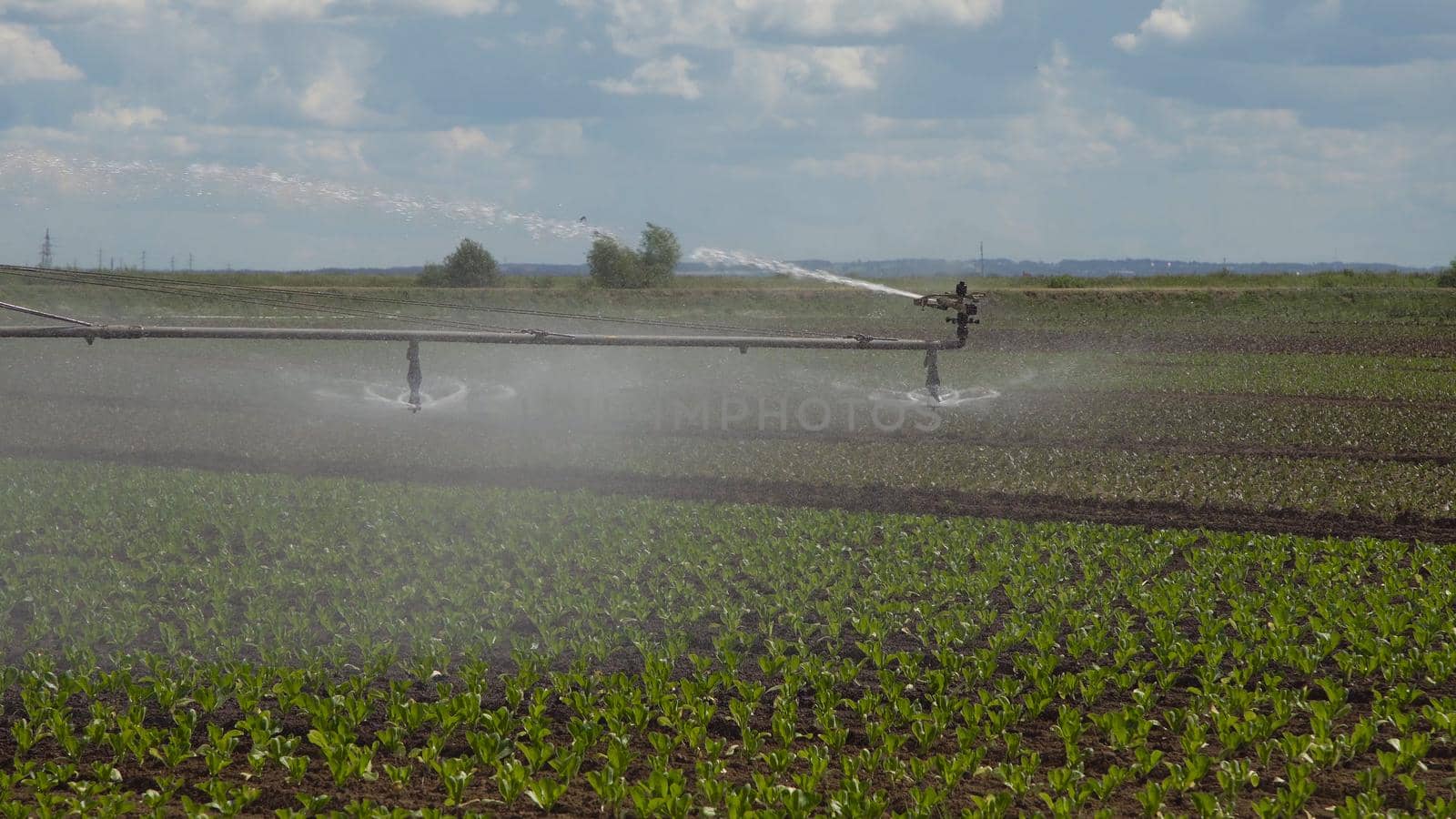Aerial view: Crop Irrigation using the center pivot sprinkler system. An irrigation pivot watering salad, lettuce field. Irrigation system watering farm field.