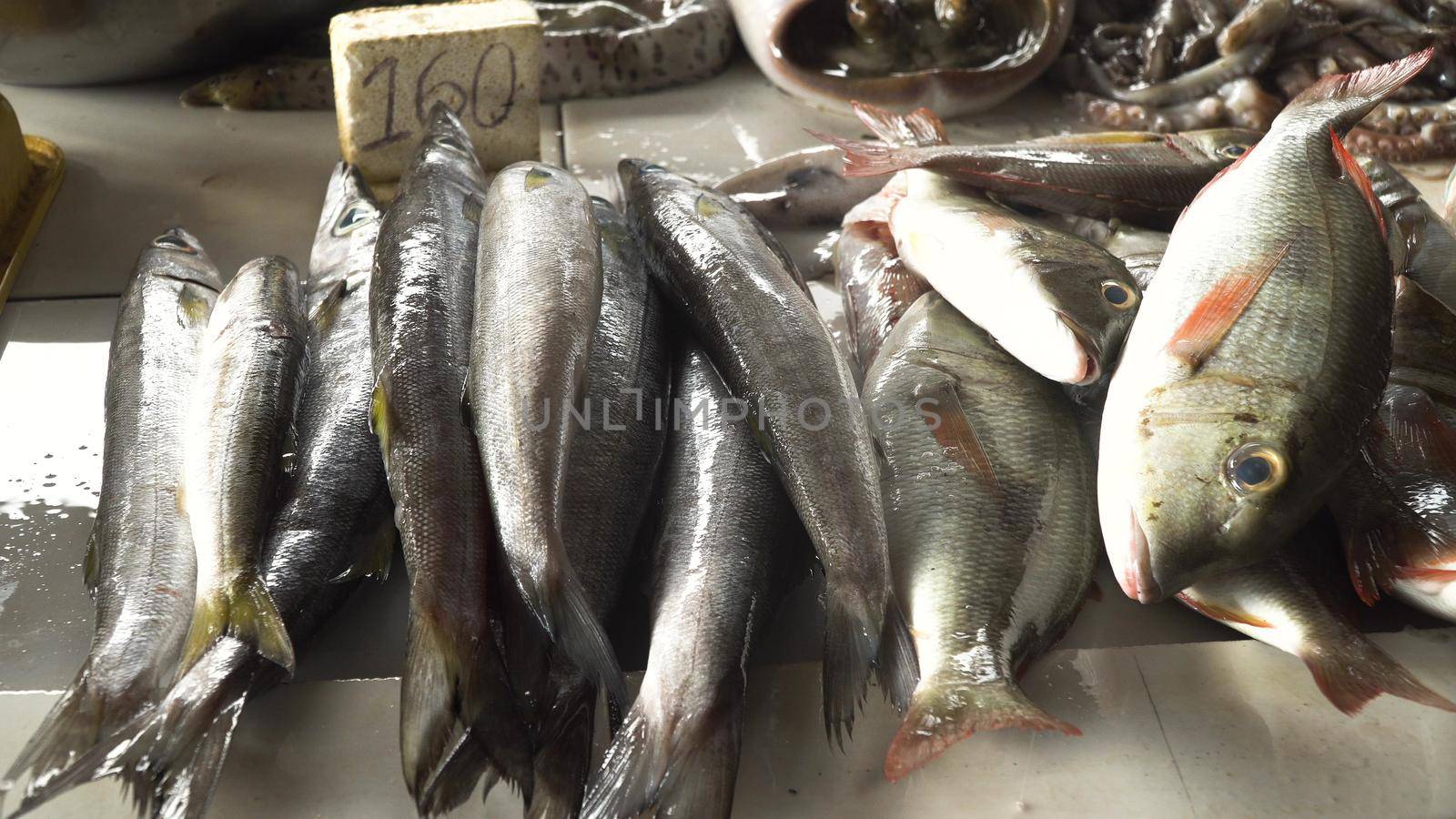 Fresh fish in Asian market. Sale of fresh sea fish in the Asian public store. Sea fish lying on the shopboard at one of the street markets. Philippines.