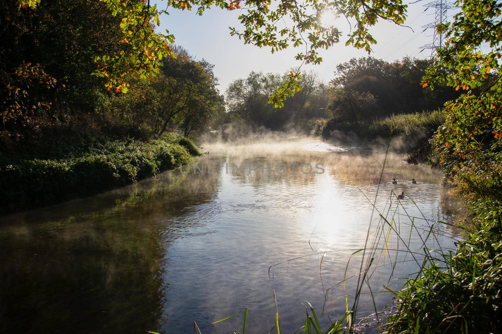 Early morning mist on the River Wandle, London in Autumn