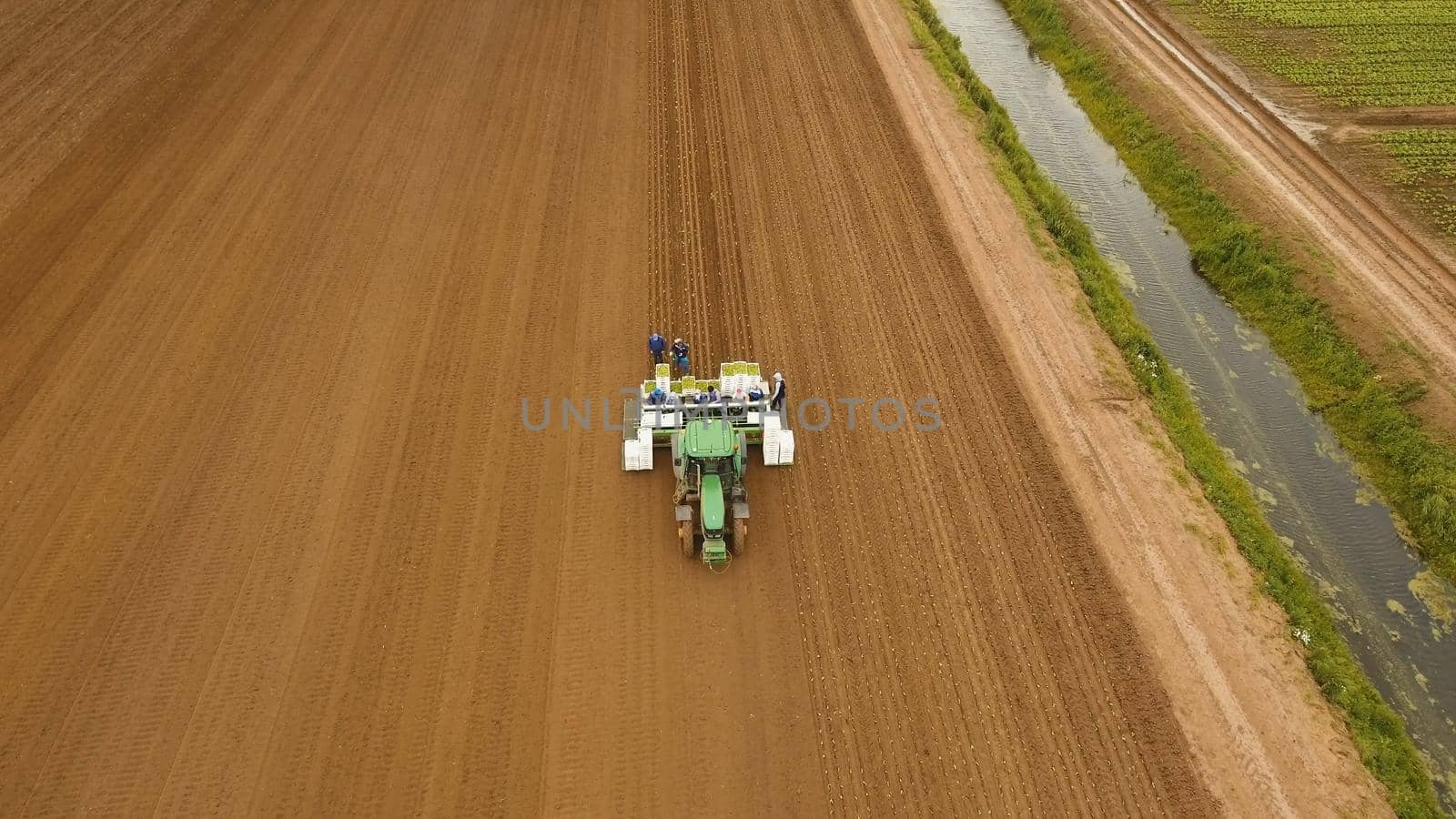 Aerial view Special tractor equipped with equipment for planting green vegetables and lettuce in the cultivated field. Tractor with workers sows, put salad on the field.