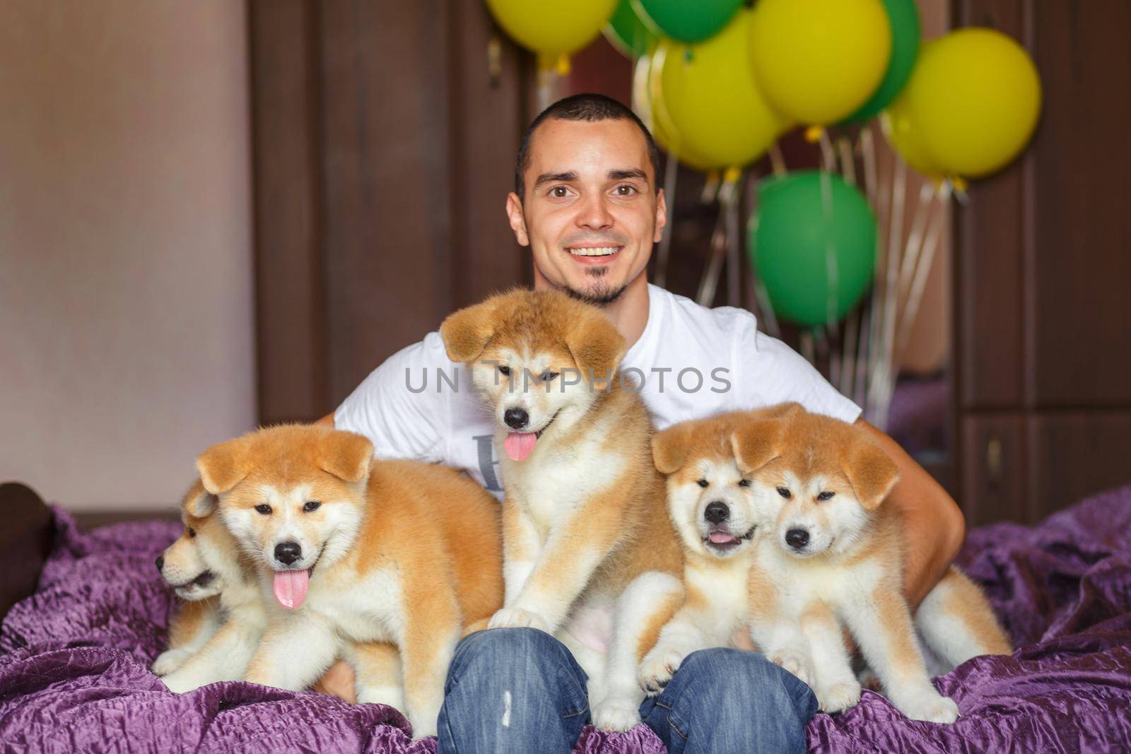 Handsome guy have fun hugs and play with akita inu puppies.