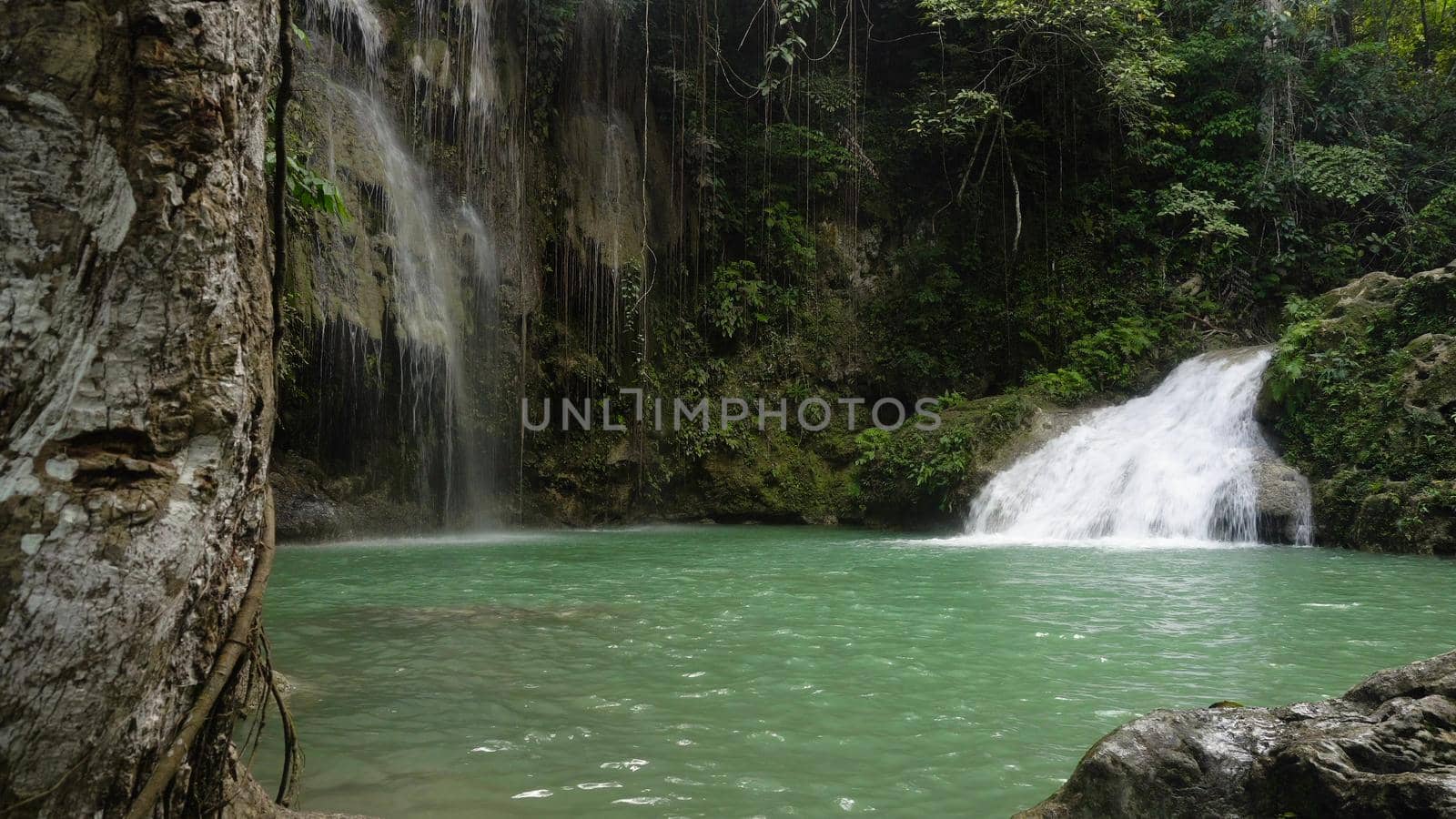 Waterfall in green forest in jungle. Beautiful waterfall in the mountains. Tropical rain forest with waterfall. Philippines, Cebu. Travel concept.
