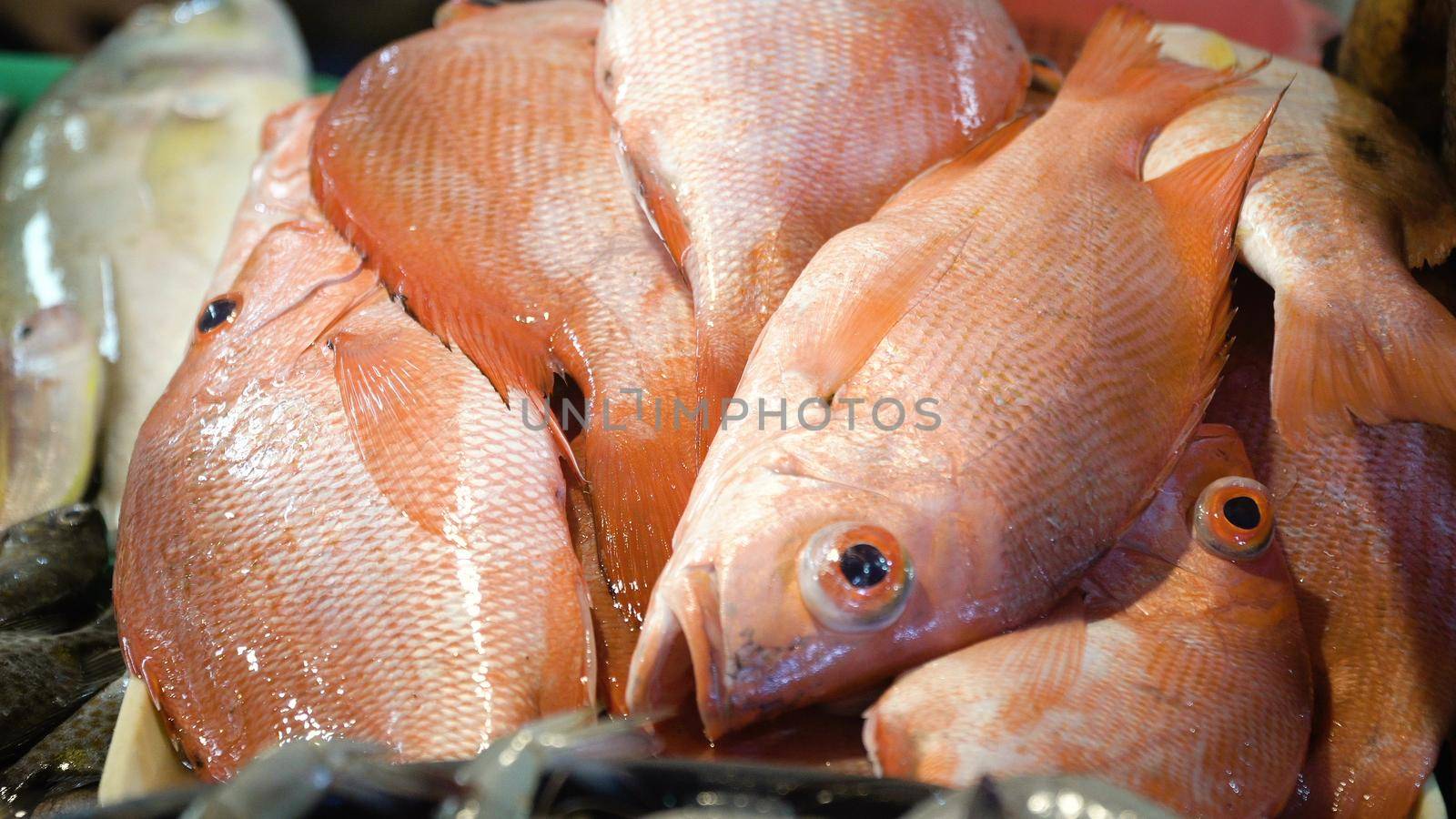 Fresh fish in Asian market. Sale of fresh sea fish in the Asian public store. Sea fish lying on the shopboard at one of the street markets. Philippines.
