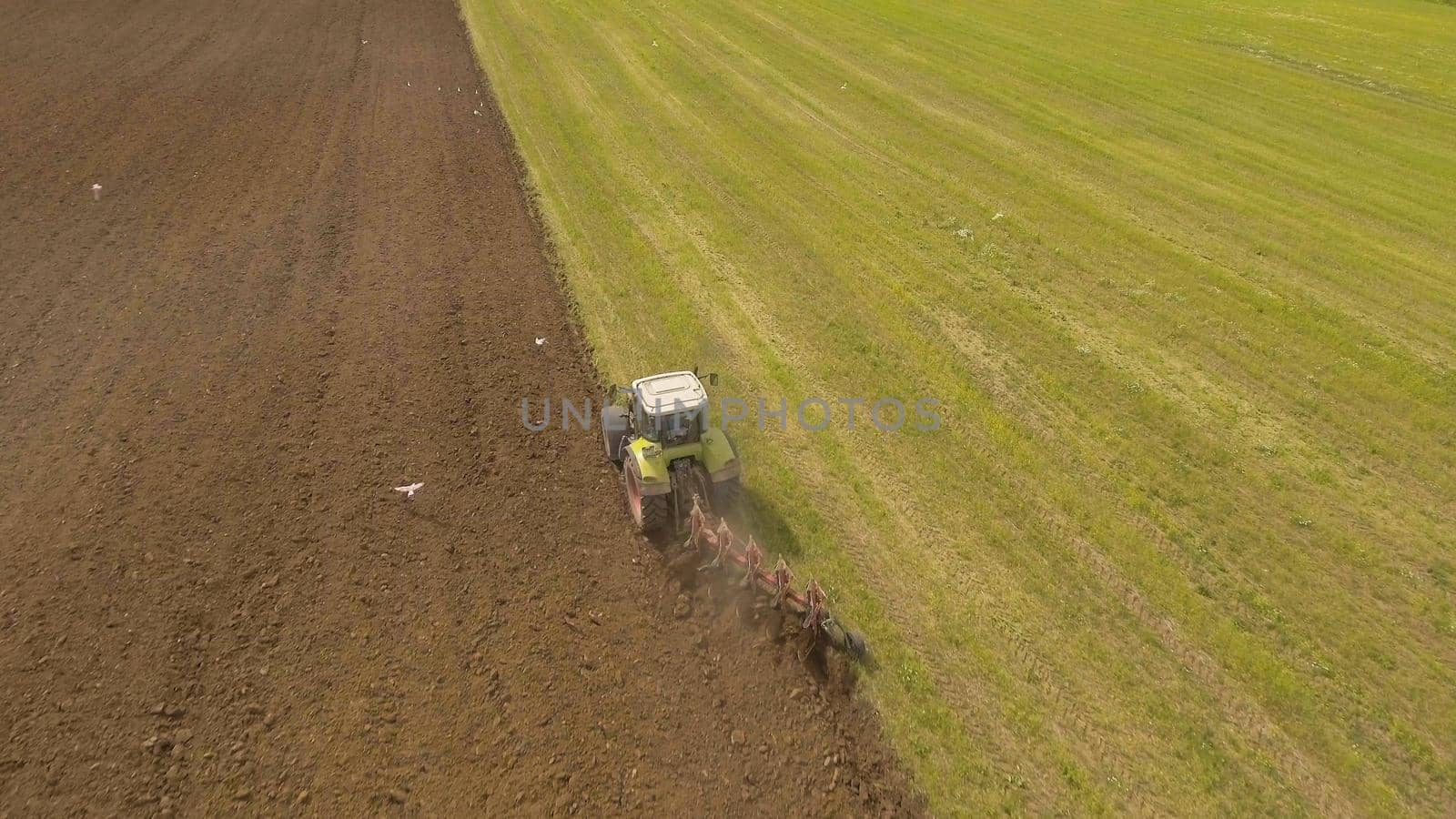 Farm tractor plowing a green field, a lot of birds flying around him.Aerial view:tractor plowing the land in rural areas on the farmer's field.