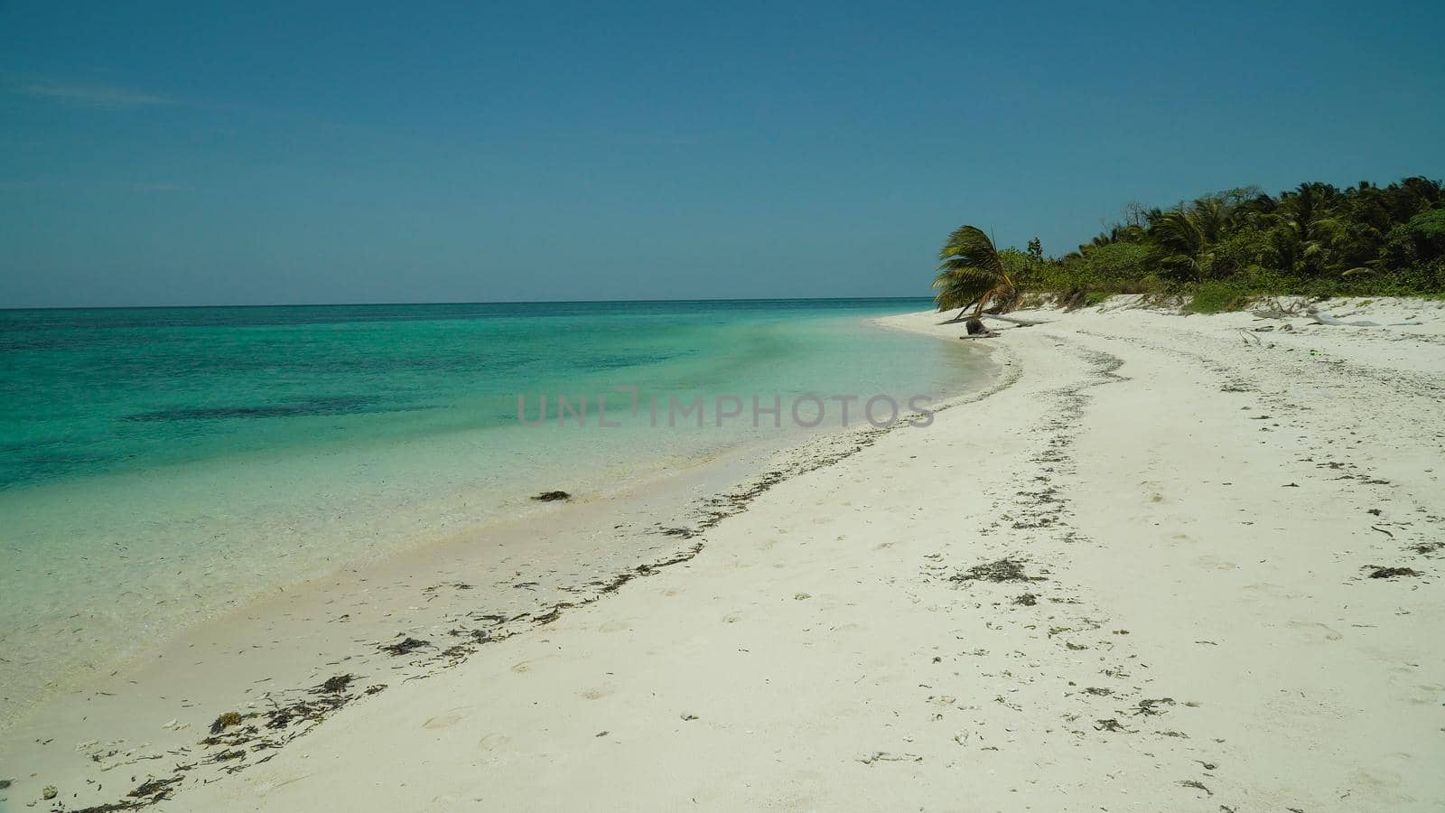 Sandy beach on a tropical island with palm trees by coral reef atoll. Summer and travel vacation concept.