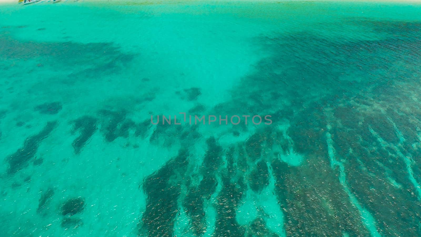 Blue background with transparent sea water copy space for text. Sea water surface in lagoon and coral reef. Top view transparent turquoise ocean water surface. background texture