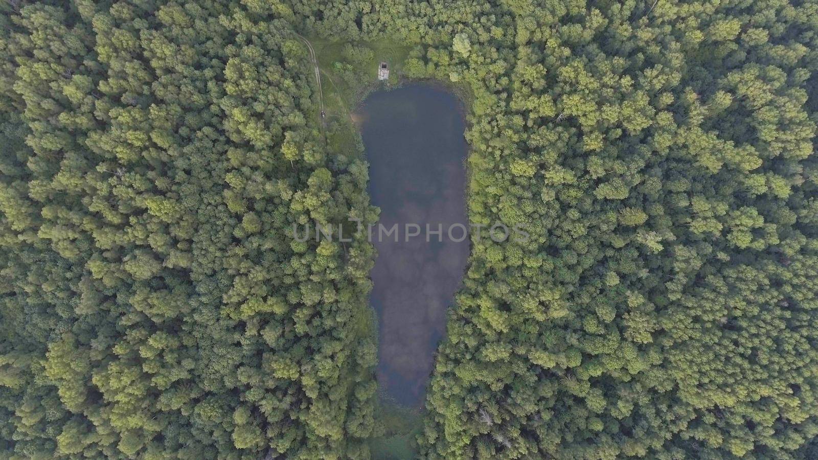 Aerial view.Green tree aerial view of forest.