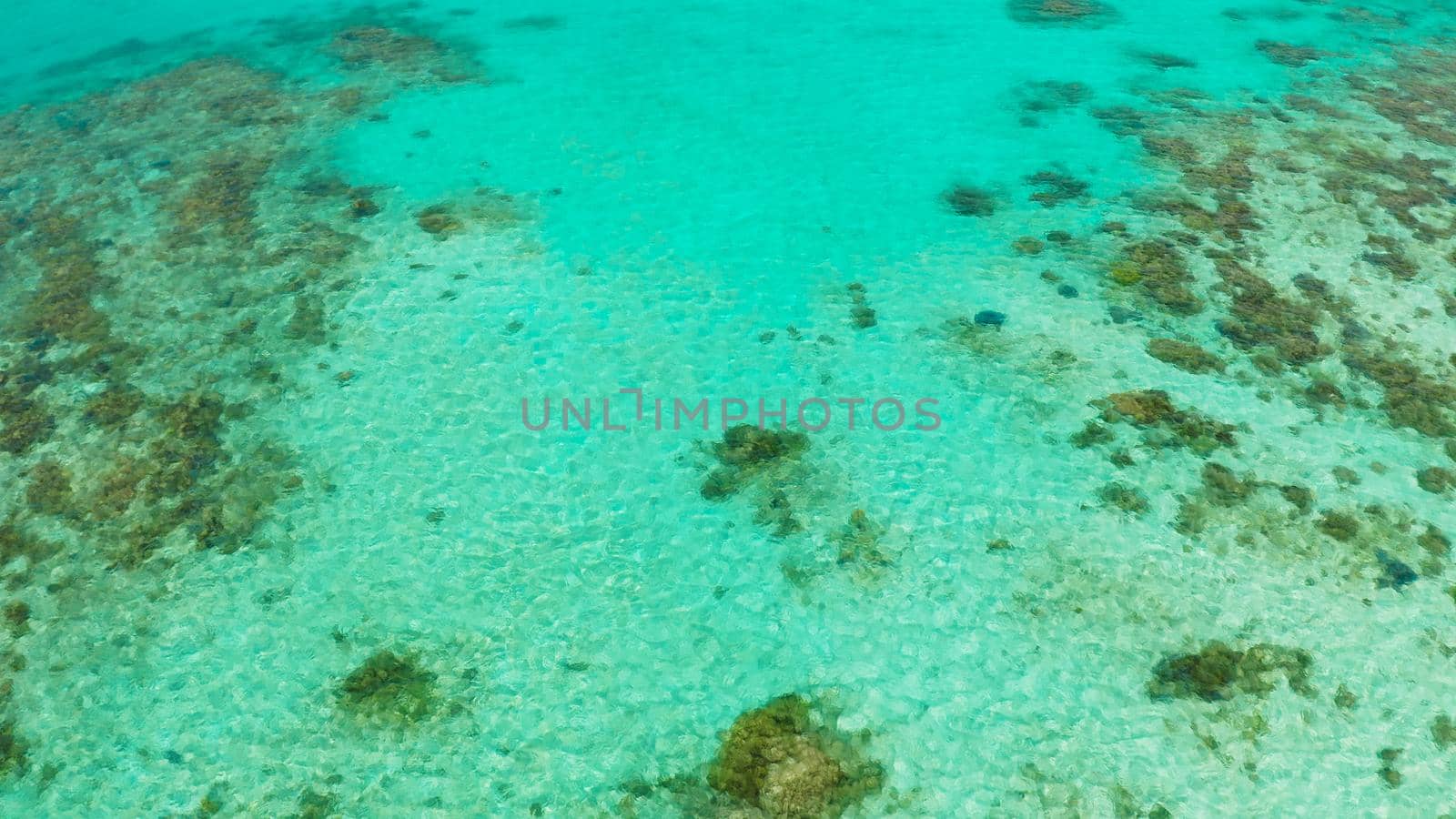 Sea water surface in lagoon with coral reef copy space for text. Top view transparent turquoise ocean water surface. background texture