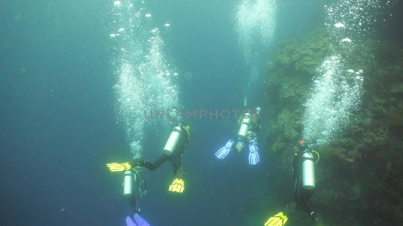 Scuba divers explores underwater coral reef and watching the fish.Scuba diver underwater in a tropical sea.Tropical fish on a coral reef. Diving and snorkeling in the tropical sea.