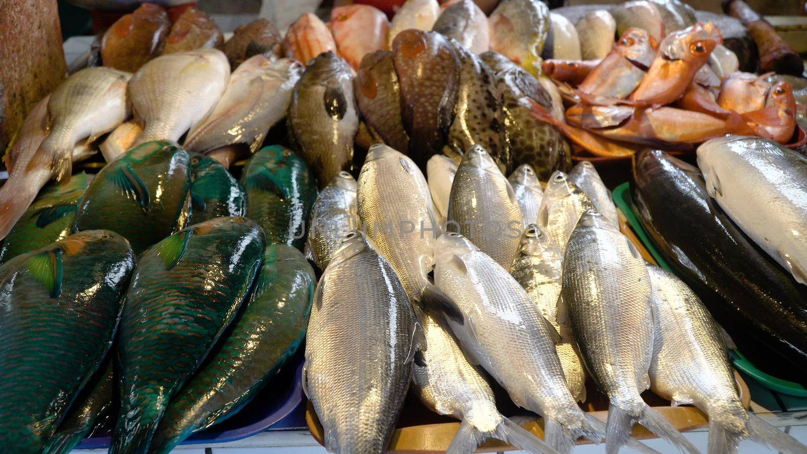 Fresh fish in Asian market. Sale of fresh sea fish in the Asian public store. Sea fish lying on the shopboard at one of the street markets. Philippines.