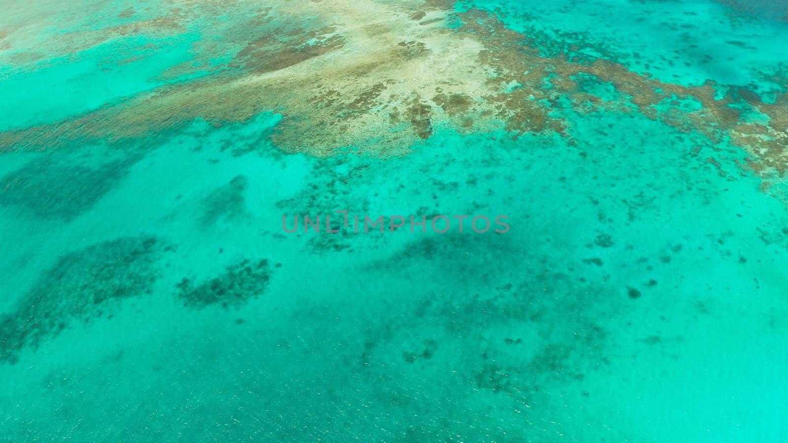 Turquoise lagoon surface on atoll and coral reef, copy space for text. Top view transparent turquoise ocean water surface. background texture
