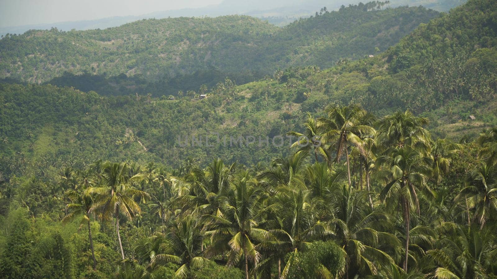 Mountains with rainforest covered with green vegetation and trees on the tropical island, landscape. Mountains and hills with wild forest, sky clouds. Hillside rainforest and jungle. Philippines, Cebu.