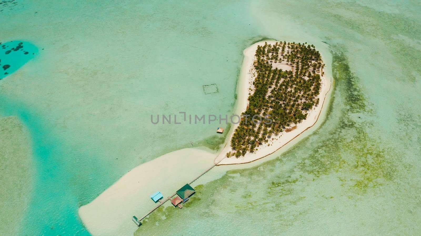 Tropical landscape: small island with beautiful beach, palm trees by turquoise water view from above. Onok Island, Balabac, Philippines. Summer and travel vacation concept