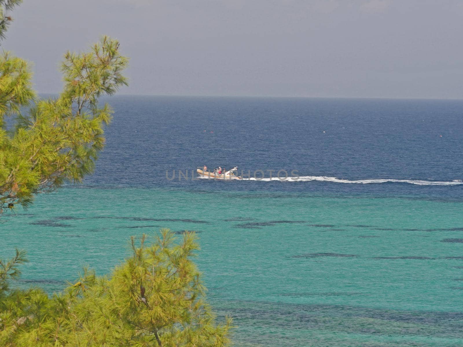 Speedy motorboat goes by the blue sea