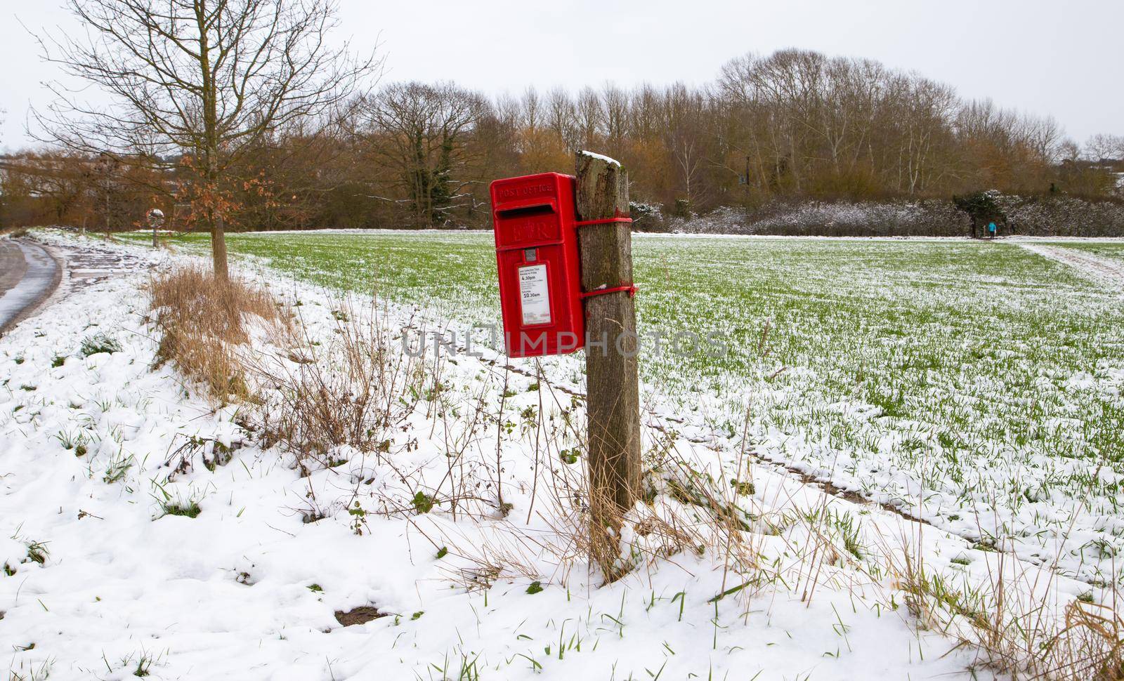 Red British post box by NelliPolk